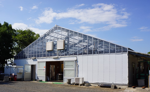 サウス工場