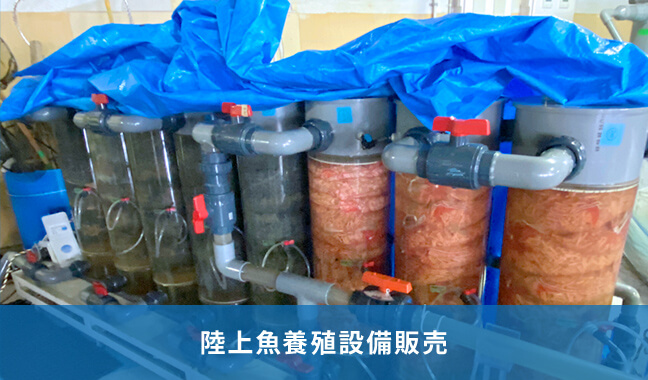 陸上魚養殖設備販売
