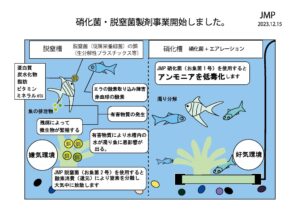 硝化菌・脱室菌製剤事業