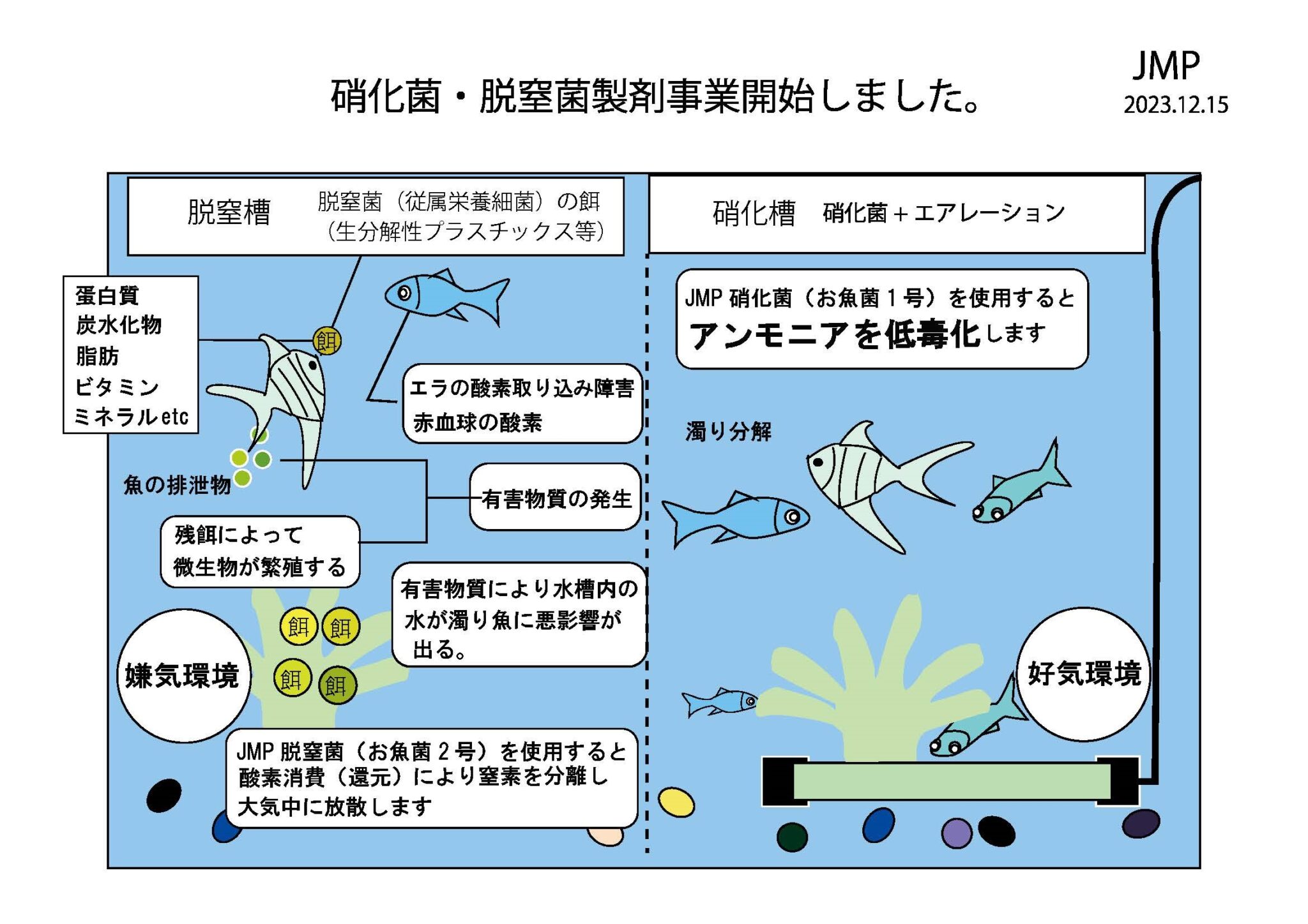 JMP技術レポート　(2023.12.15)　硝化菌製剤事業